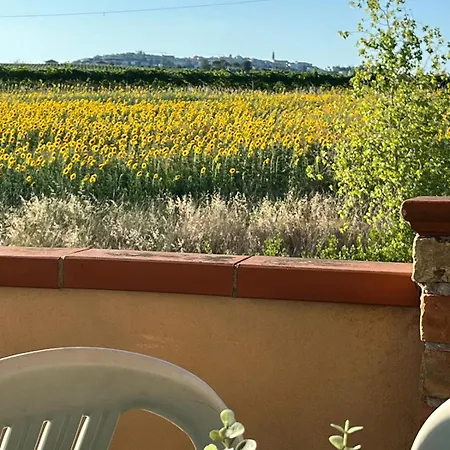 Il Podere Degli Asinelli