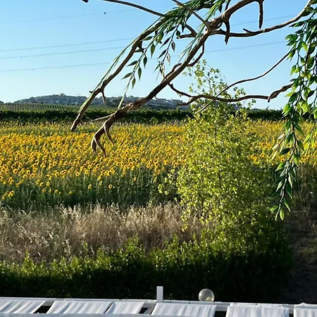 Il Podere Degli Asinelli 3* Citta Sant'Angelo