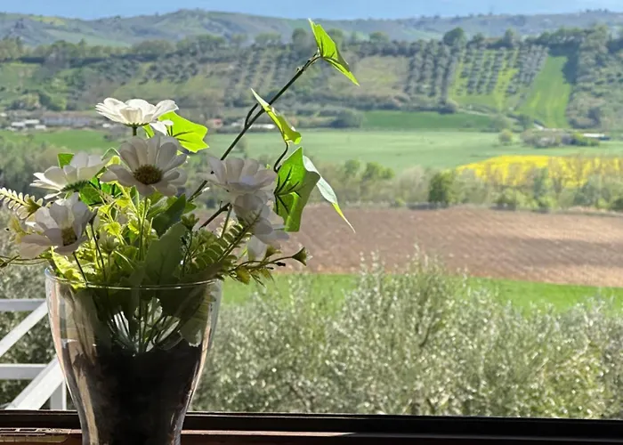 Il Podere Degli Asinelli