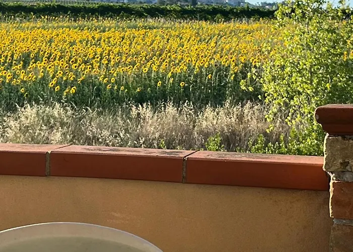 Il Podere Degli Asinelli